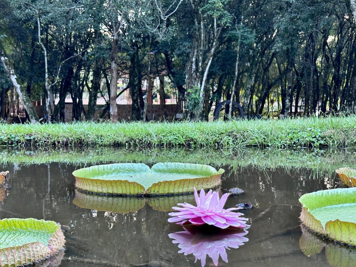 Parque Hotel Manantial Hohenau Ngoại thất bức ảnh