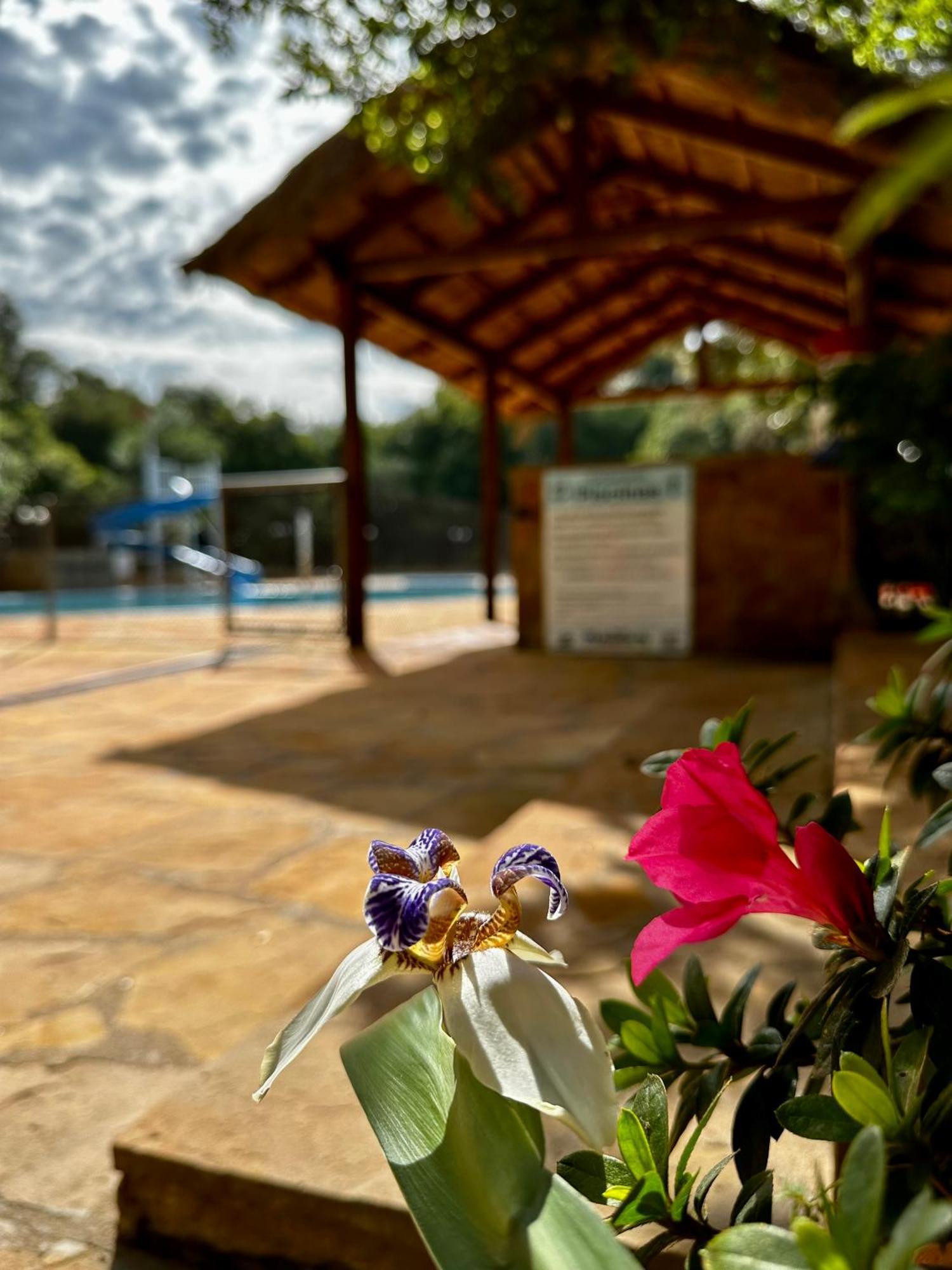 Parque Hotel Manantial Hohenau Ngoại thất bức ảnh